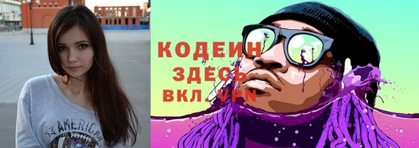 шишки Пересвет