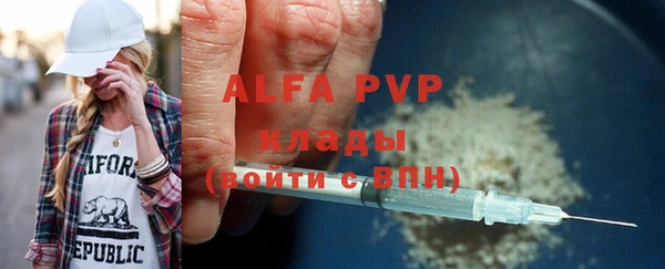 шишки Пересвет