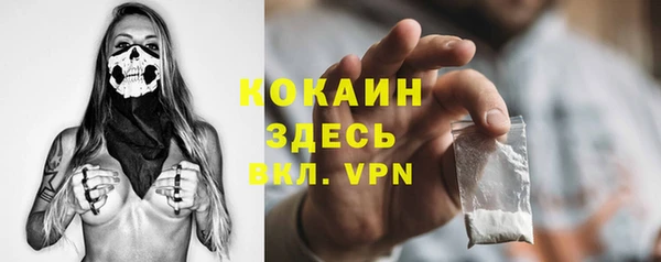 крисы Переславль-Залесский