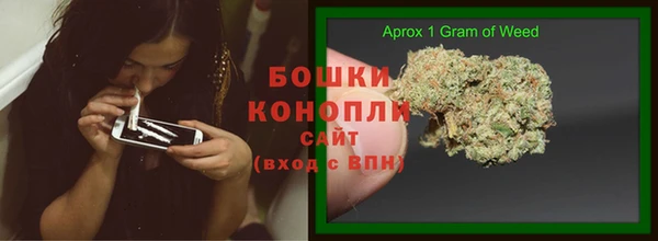 МДПВ Пестово