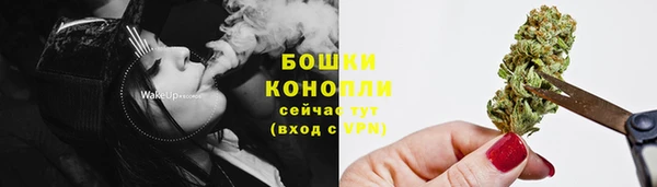 крисы Переславль-Залесский