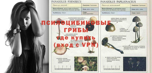 крисы Переславль-Залесский
