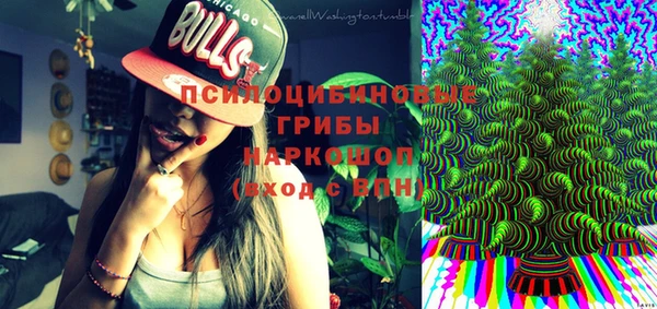СК Осинники