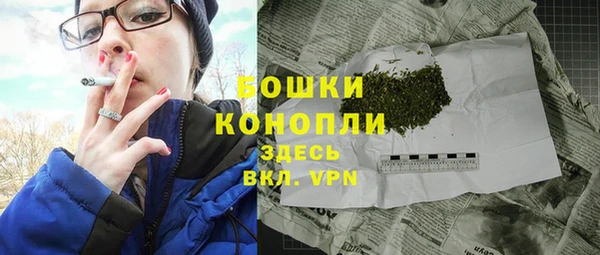 шишки Пересвет