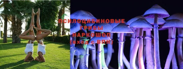 МДПВ Пестово
