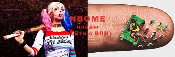 шишки Пересвет