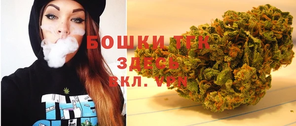 крисы Переславль-Залесский
