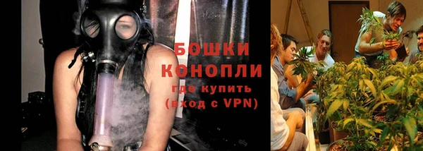 шишки Пересвет