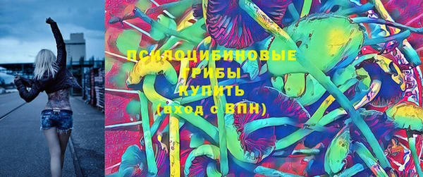 крисы Переславль-Залесский