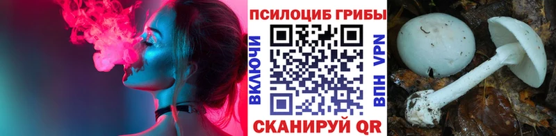 Псилоцибиновые грибы MAGIC MUSHROOMS  Купить  Завитинск 
